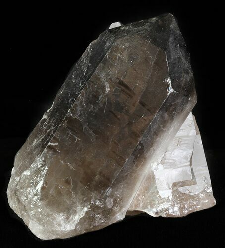 Smoky Quartz Crystal - Brazil #60761